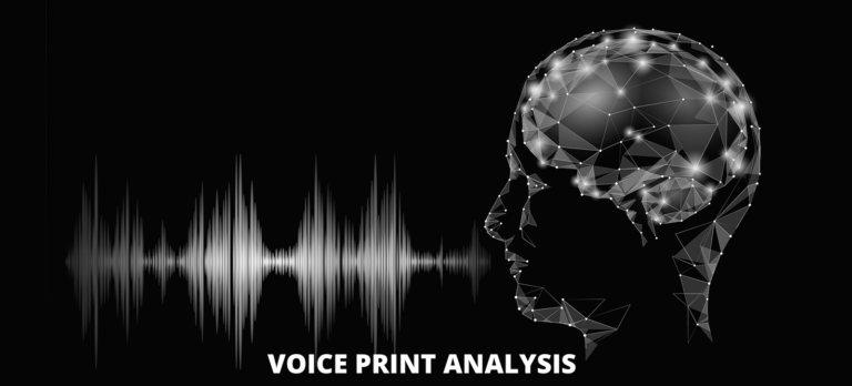 VPA is an advanced informative speech analysis system, capable of analyzing audio files for various purpose.